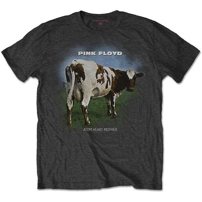 PINK FLOYD - ATOM HEART MOTHER FADE