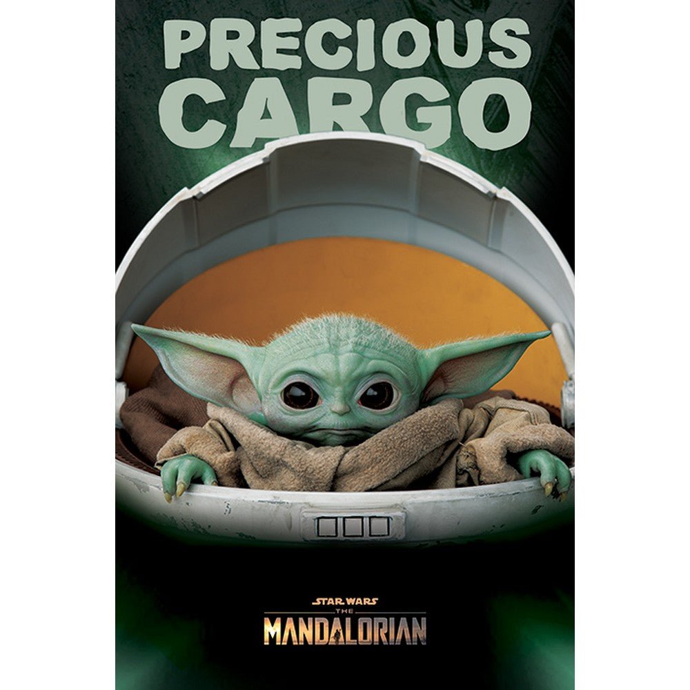 THE MANDALORIAN - (マンダロリアン・アンド・グローグー 5月22日 公開 ) - Precious Cargo